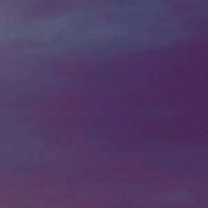 Meet your Posher, Lourdes